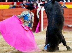 Korrida - bardzo krwawy sport