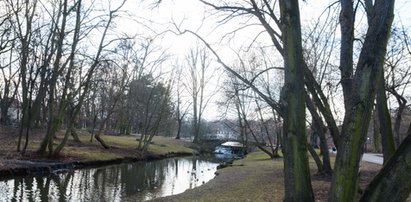 Poznań będzie miał miejskiego ogrodnika?