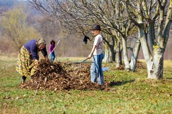 Pomoc domowa niczym praca niewolnicza