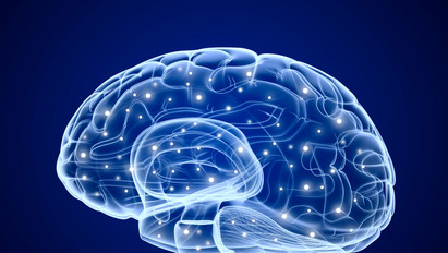 Döbbenetes eredményre jutottak a kutatók: ilyen hatással lehet az agyunkra a koronavírus