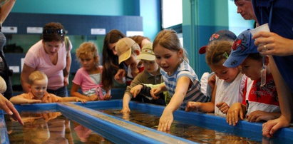 Idź na dzień otwarty w centrum edukacji gdyńskiego akwarium!