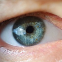 Myasthenia gravis: a szemén veheti észre az életveszélyes betegség az első jeleit