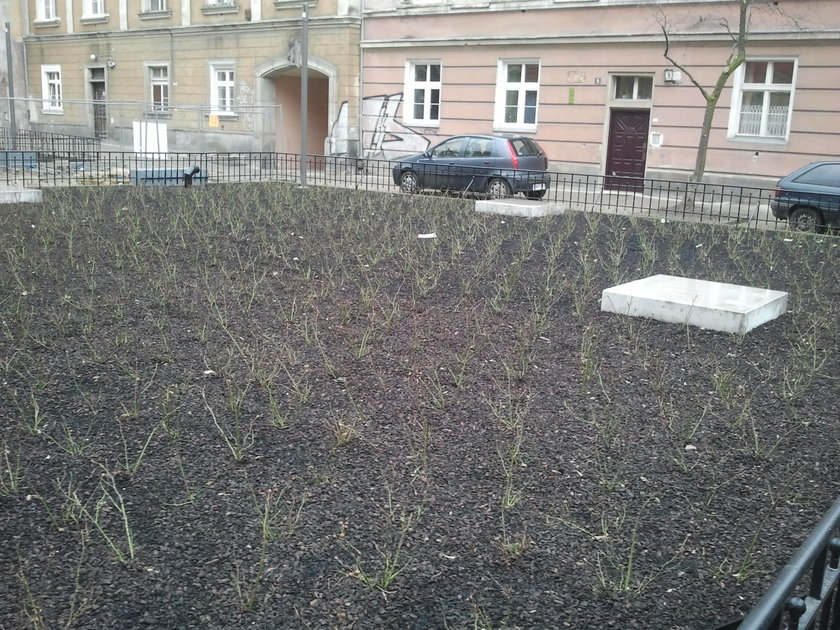 Podwórze za południową fasadą Rynku