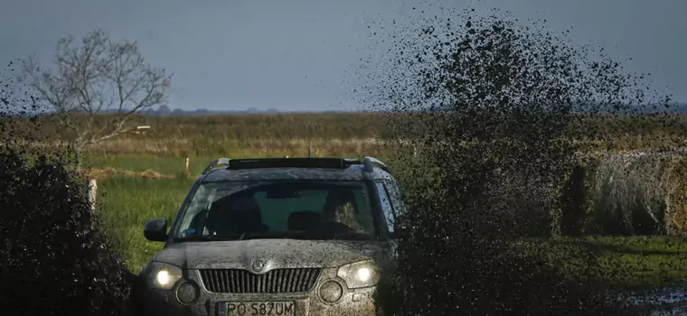 Skodą Yeti i rowerem wzdłuż wybrzeża