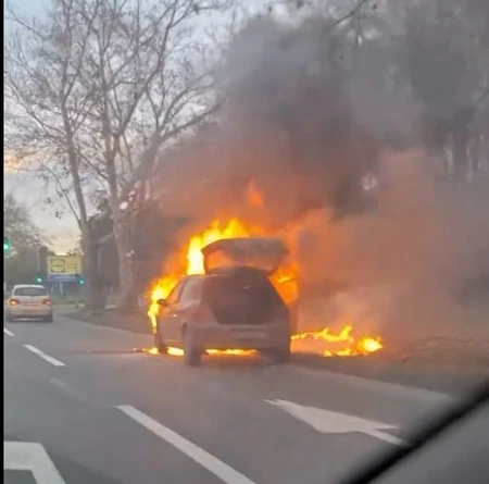gori auto