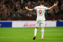 Trawa na Narodowym była pomalowana? 'Niech piłkarze nie gadają głupot'