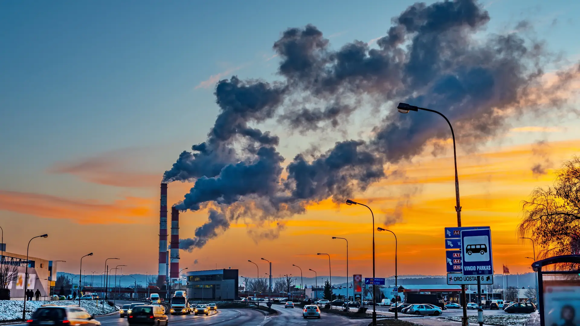 "No i Ch*j". Naukowcy w końcu nazwali polską strategię walki ze zmianami klimatu