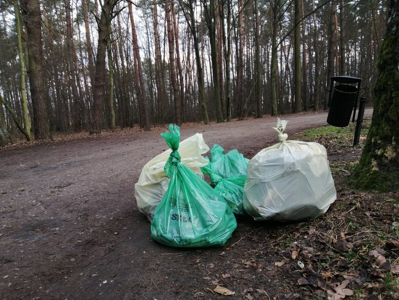 Sprzątanie lasu 