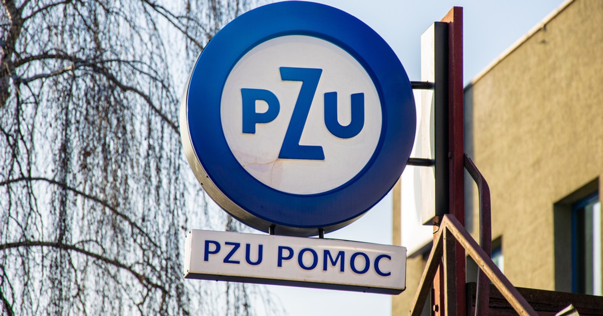 PZUの結果は残念だ。最大手の保険会社の株価が下落した