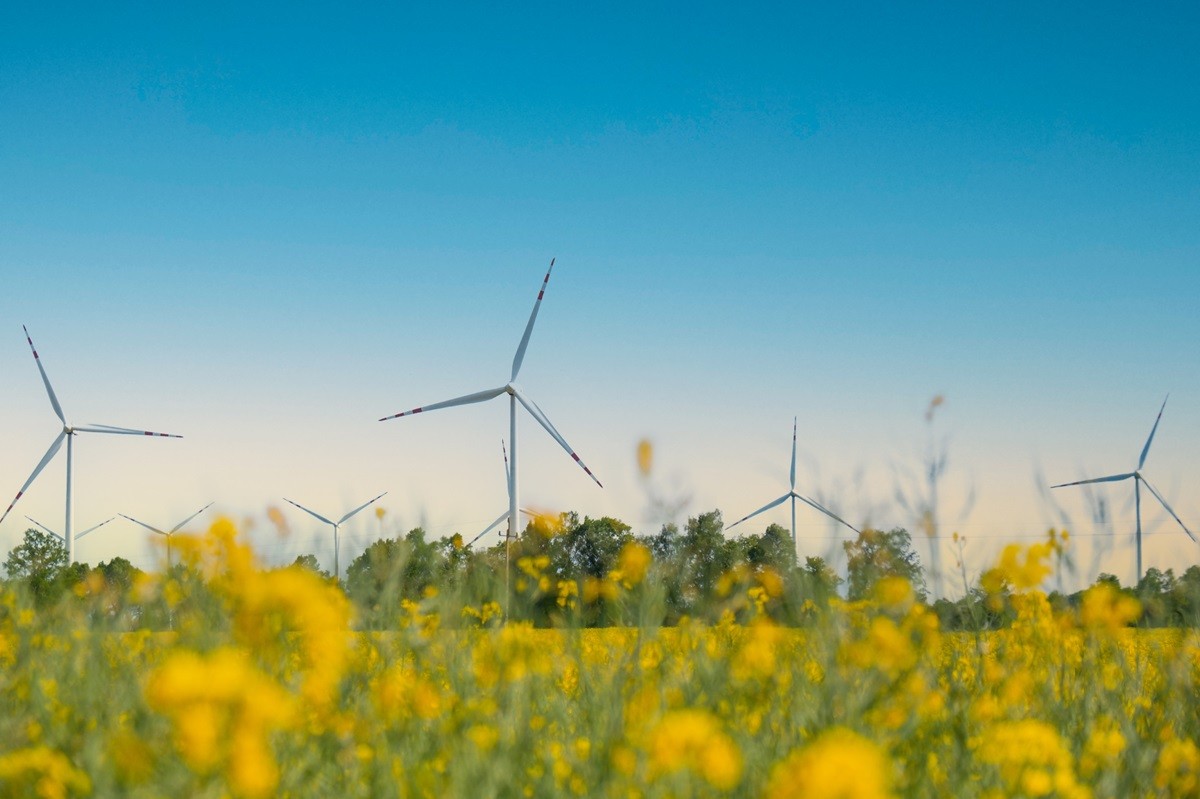 Według nowego KPEiK, w 2030 r. z OZE ma pochodzić 100 TWh energii. To mniej niż we wcześniejszym projekcie. Wpływa na to przede wszystkim mniejsza o 13 proc. niż zakładana wcześniej produkcja energii z lądowej energetyki wiatrowej.