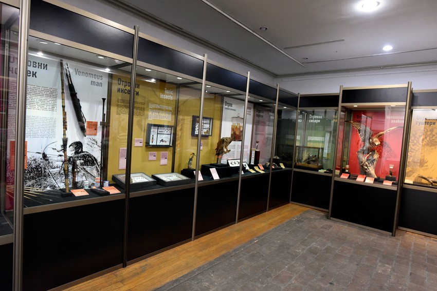 Galerija Prirodnjačkog muzeja