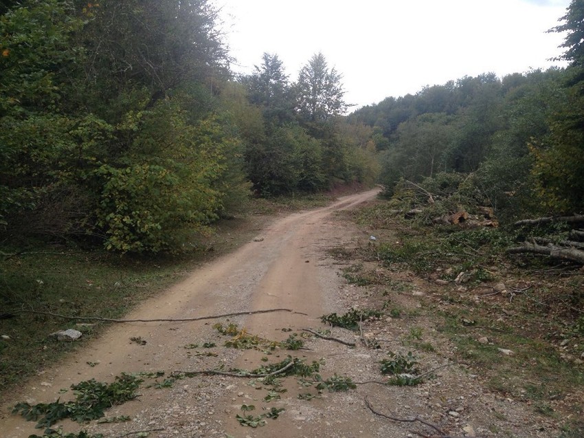 Mesto gde je policija bila u zasedi
