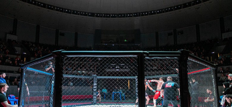 "Boxdel" i szefowie Fame MMA zatrzymani przez CBŚ. Mają usłyszeć zarzuty