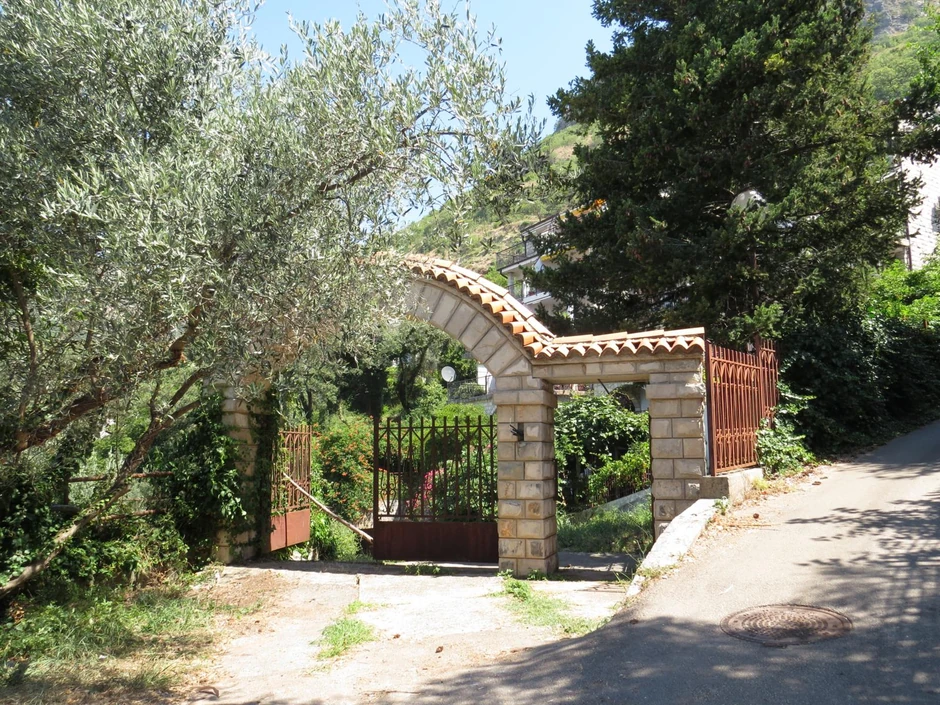 Vila Dragana Džajića