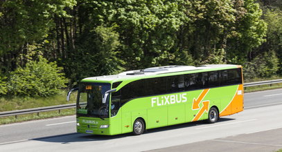 Nowa trasa Flixbusa z Polski. Tanio nie jest, ale chętnych nie brakuje