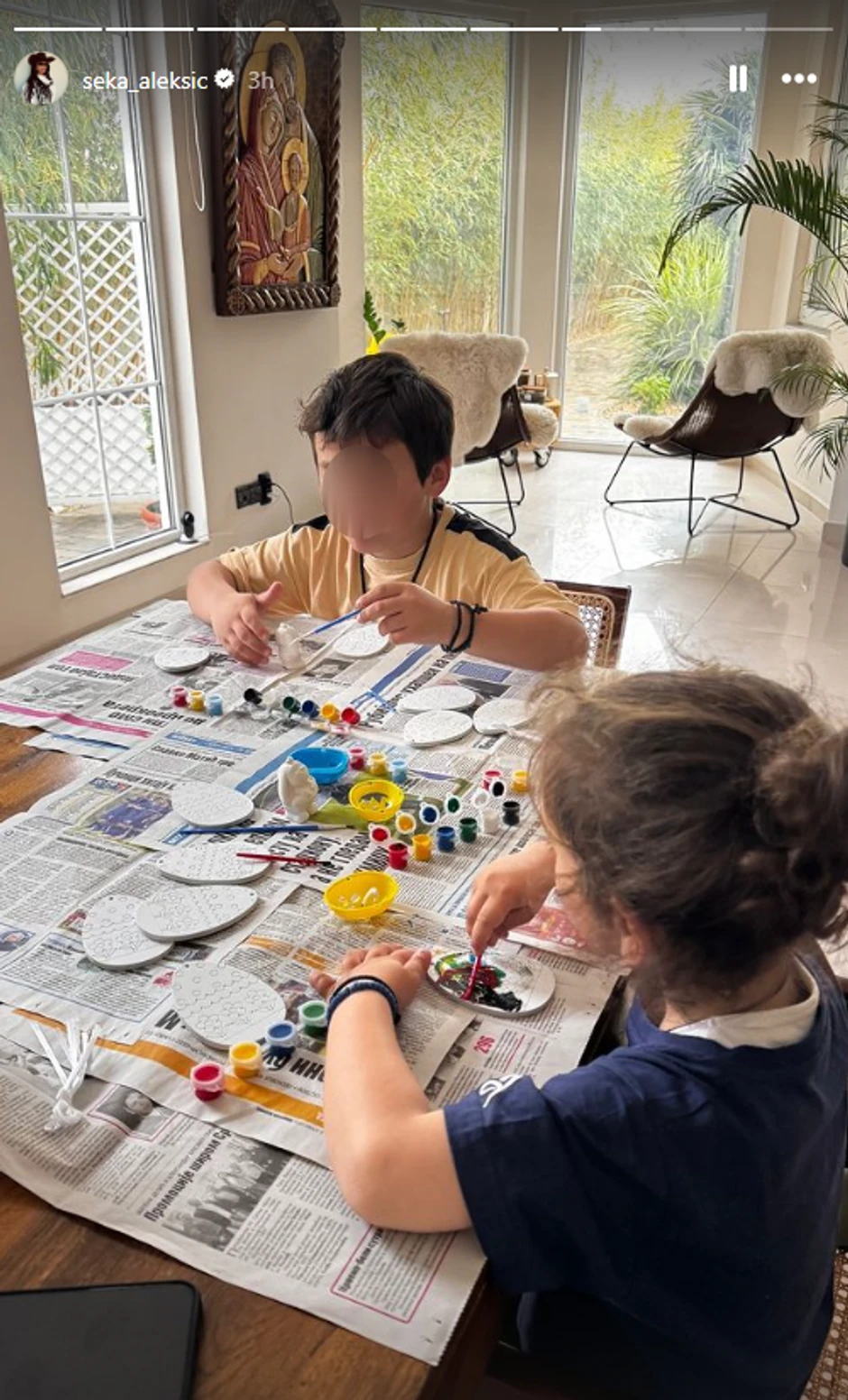 Seka Aleksić objava