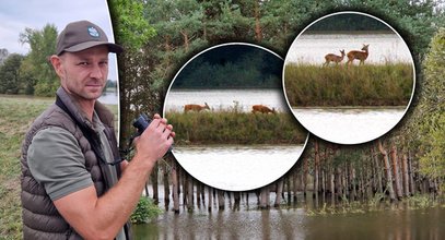 O tych skutkach powodzi głośno się nie mówi. Dramat zwierząt na zalanych terenach