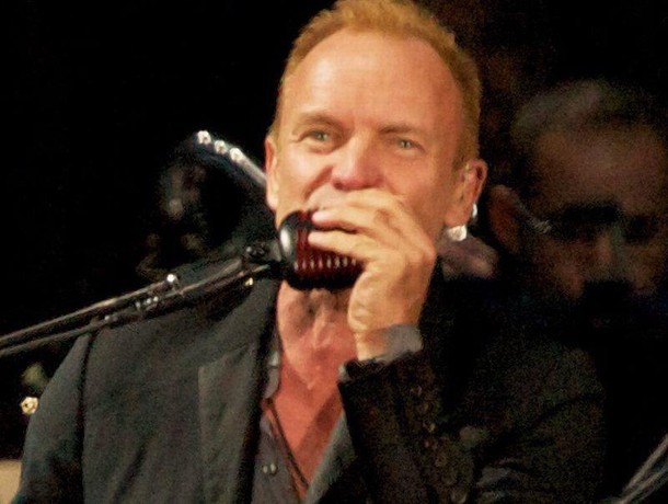 sting7