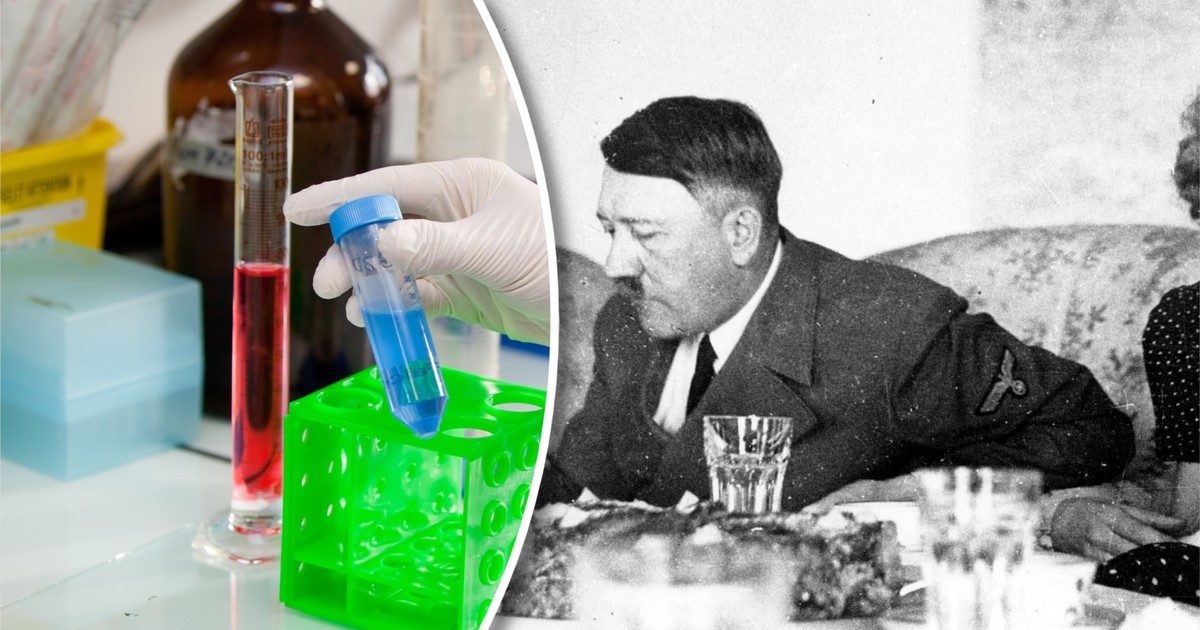 Sofa z bunkra Hitlera ujawnia prawdę. Wyniki badań DNA kończą wieloletnie spekulacje