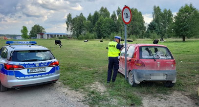 11-latek uciekał autem przed policją. Wcześniej wywinął niezły numer...