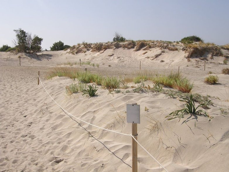 obszar przy plaży podlega ochronie i uczestniczy w programie Natura 2000