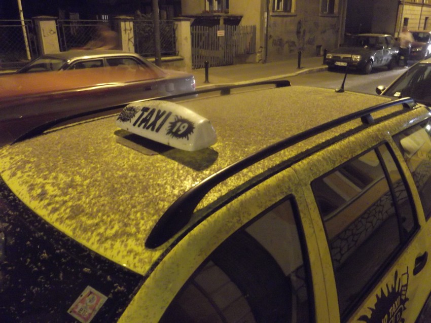 Oblak mušica juče se u večernjim satima nadvio nad Kraljevom