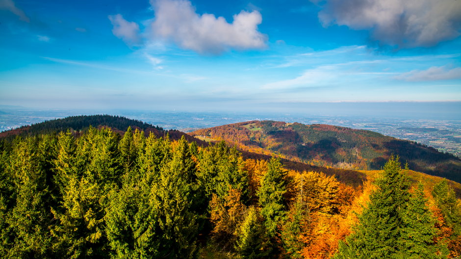 Beskidy, widok z Czantorii