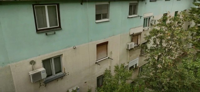 Dara Bubamara (Foto: Screenshot TV Blic)