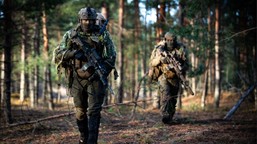 ocknęli się w trumpowskim koszmarze. zmienią "51. stan" w drugi afgani