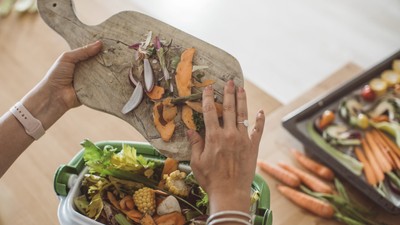 Trying out home composting can reduce your food waste, and it's beneficial for your garden or plants too.