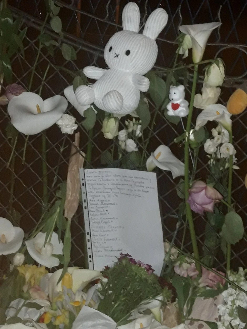 Škola "Vladislav Ribnikar"