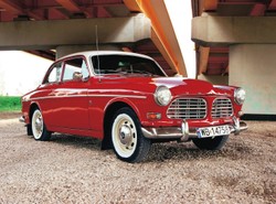 Z greckiego "a mazos" oznacza "bez piersi"…