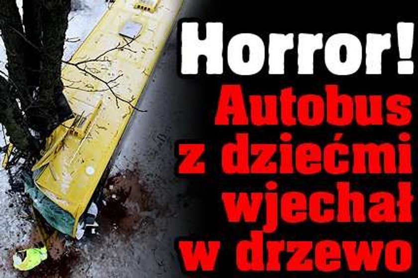 Horror! Autobus z dziećmi wjechał w drzewo