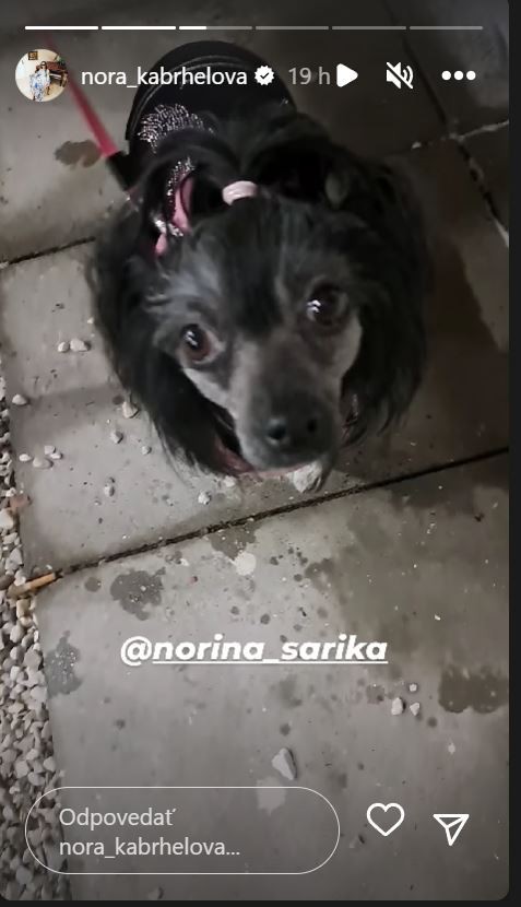 Na plese nechýbala ani fenka Šarika. 