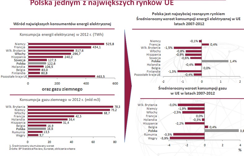 TGE Polska na tle UE