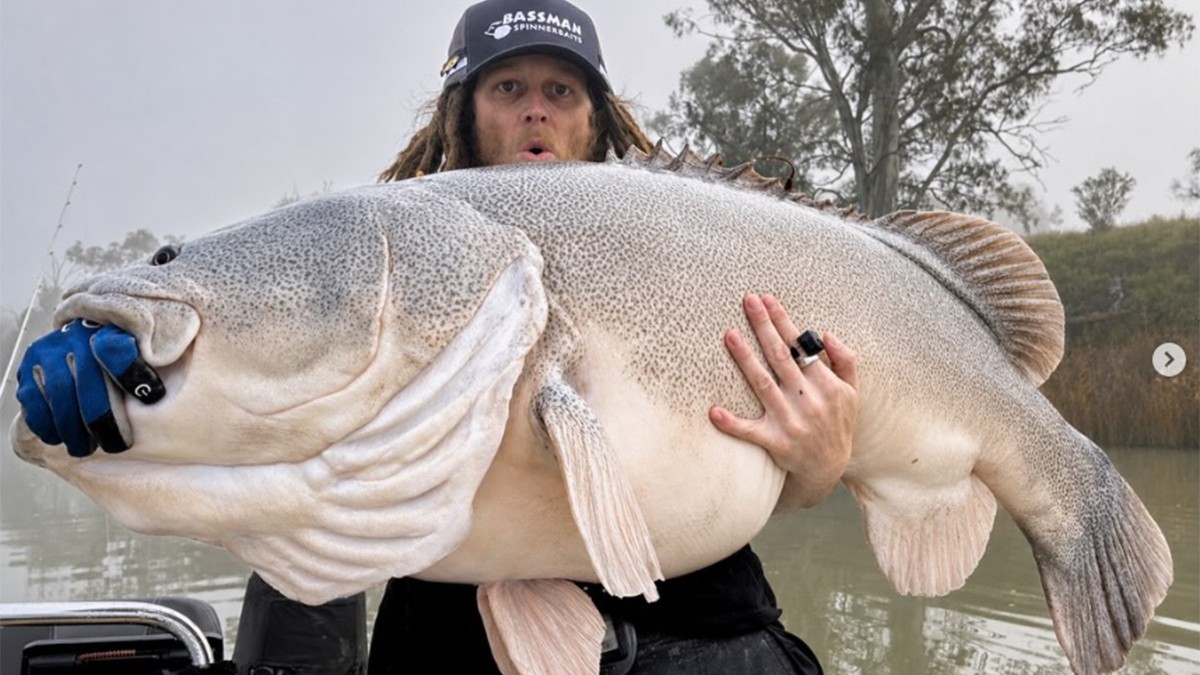Captură de 135 de centimetri prinsă de un pescar, record în Australia: „A tras gigantul în barcă fără niciun ajutor!”