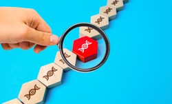 QUIZ z biologii na poziomie podstawówki. Mniej niż 7/10 to lekki wstyd