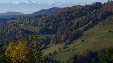 Wyczerpani turyści zabłądzili na szlaku w Gorcach