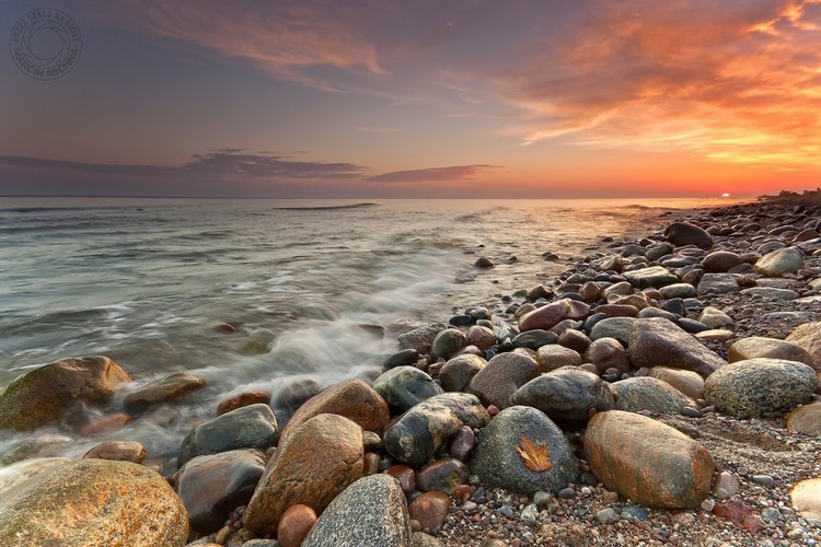 Fotografie autorstwa Katarzyny Figury