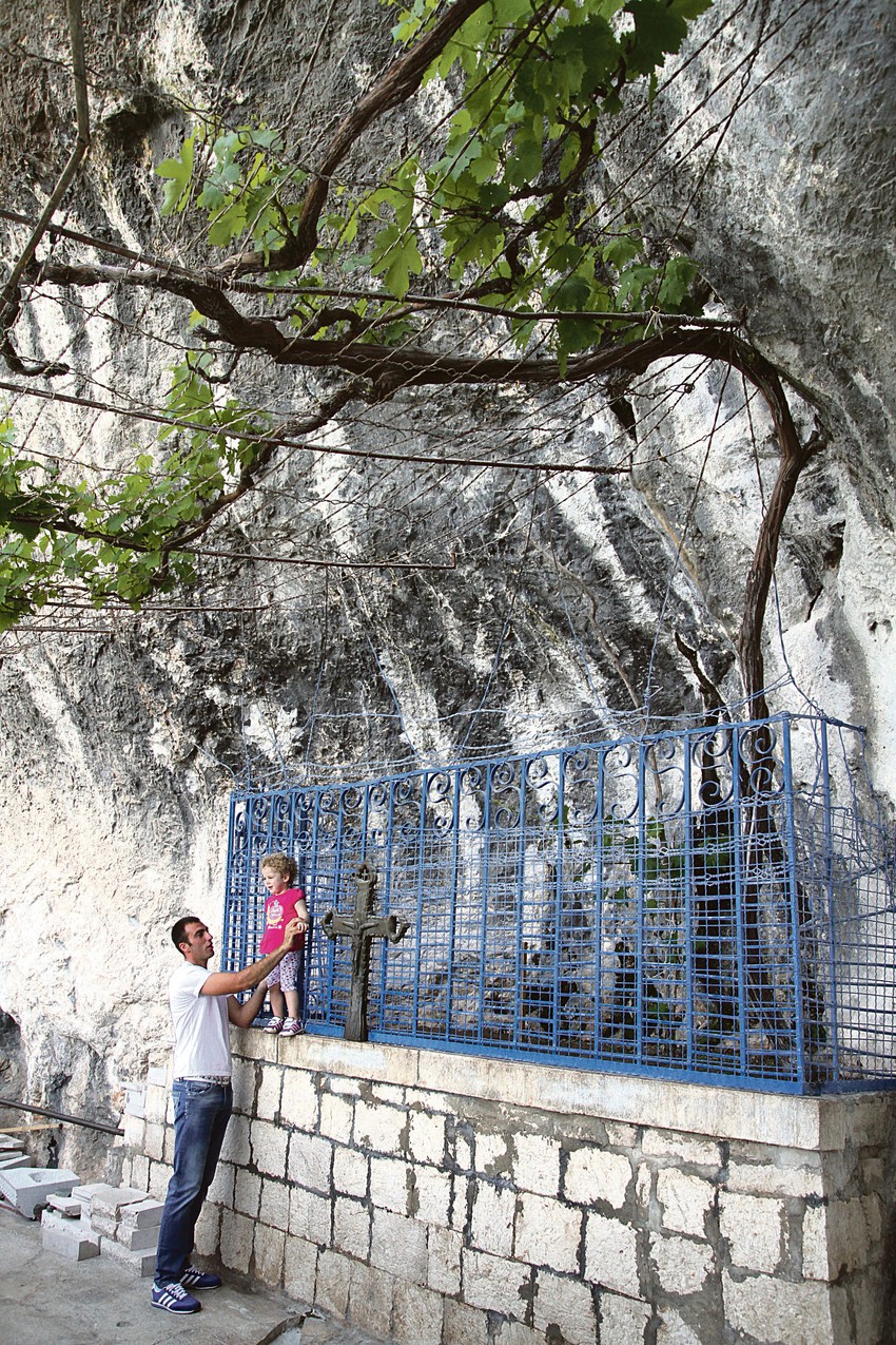 Vinova loza nikla je na mestu na kojem se upokojio Sveti Vasilije Ostroški