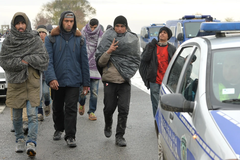 Migranti su prepešačili od Beograda do Šida