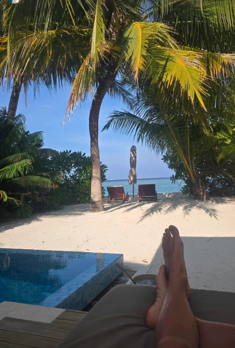 Saša Kovačević, objava