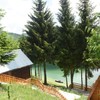 Drini Imami za Blic: Kako klimatske promene utiču na poljoprivredu Zapadnog Balkana