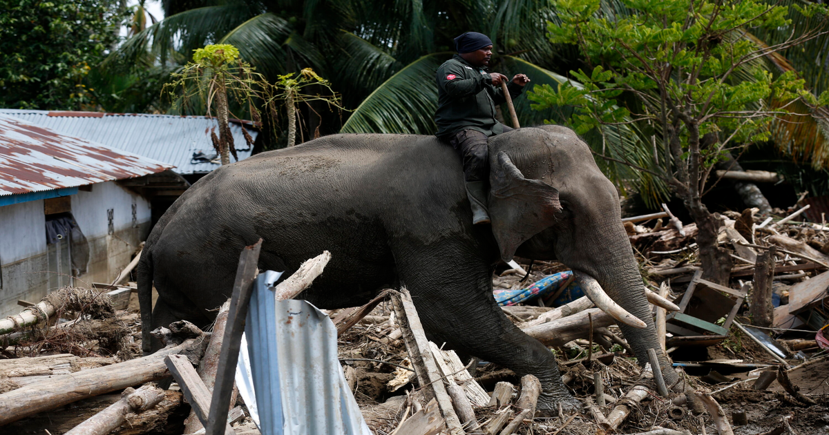 Monsunowa katastrofa w Azji: Ponad 1 800 ofiar śmiertelnych w pięciu krajach