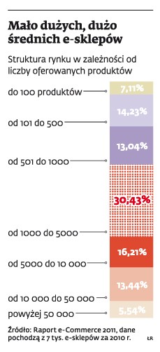 Mało dużych, dużo średnich e-sklepów