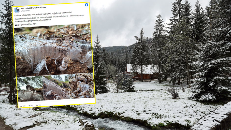 "Lodowe kwiaty" rozkwitły w Tatrach. TPN wyjaśnia niezwykłe zjawisko (screen: Facebook.com/TatrzanskiParkNarodowy)