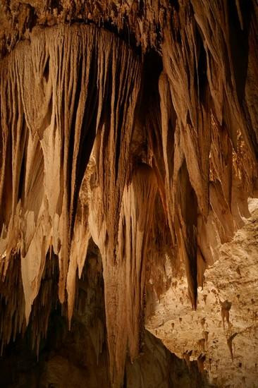 Galeria USA - Carlsbad Caverns, obrazek 4