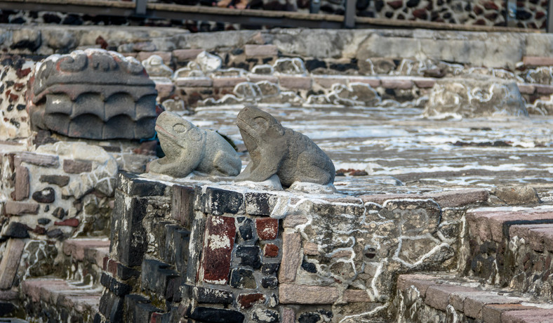 Rzeźby żaby i głowy węża w świątyni azteckiej (Templo Mayor) w ruinach Tenochtitlan