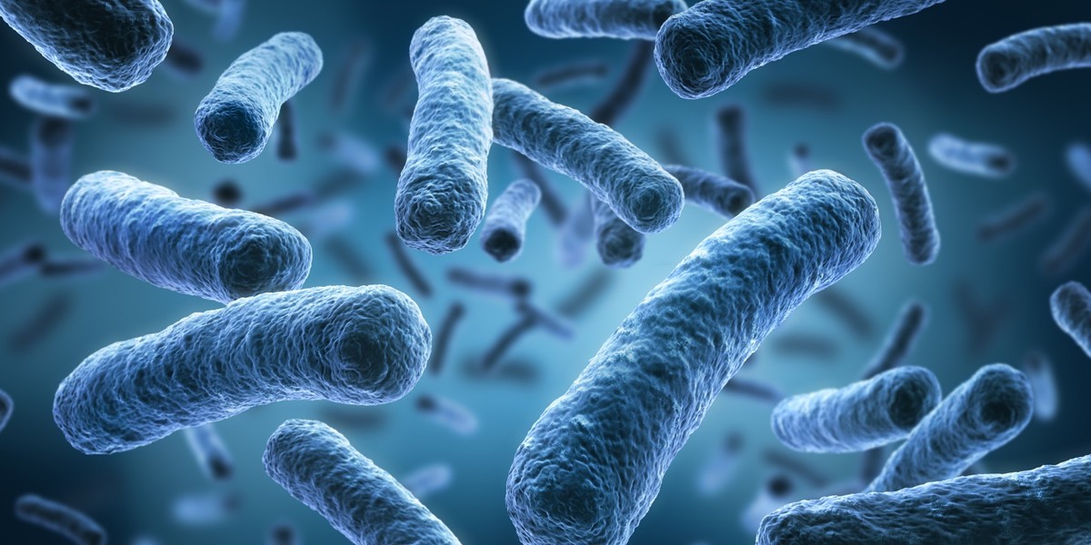 Legionella coraz poważniejszym zagrożeniem