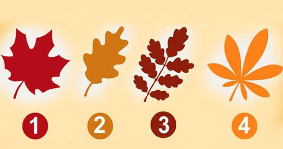 Jesenji sentiš test: Izaberi list i saznaj ljubavnu priču svog života Noizz